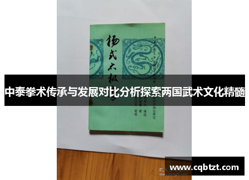 中泰拳术传承与发展对比分析探索两国武术文化精髓